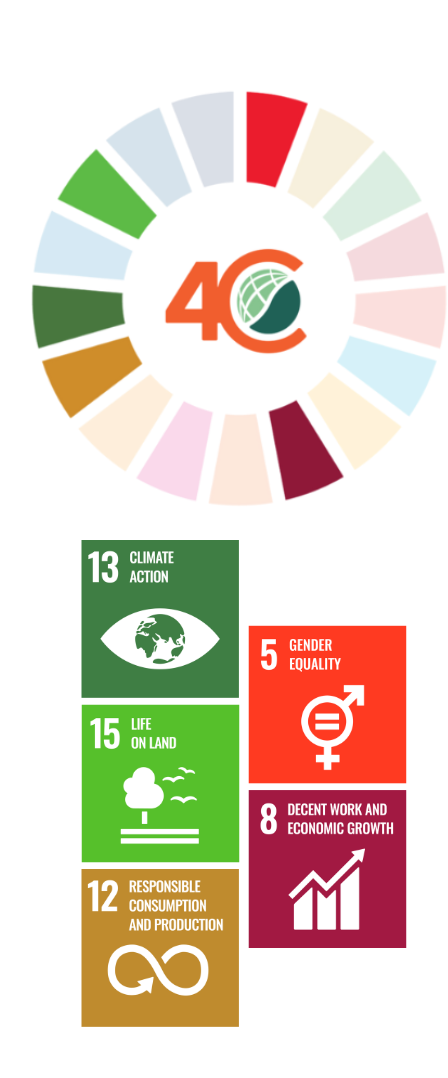 UN Sustainable Development Goals (SDGs)